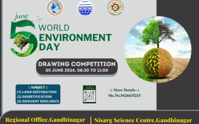 Drawing competition as part of World Environment Day celebrations